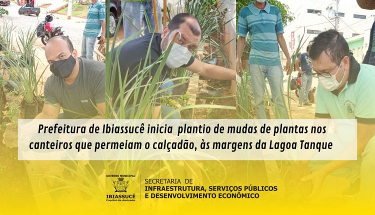 Prefeitura de Ibiassucê inicia  plantio de mudas de plantas nos canteiros que permeiam o calçadão, às margens da Lagoa Tanque