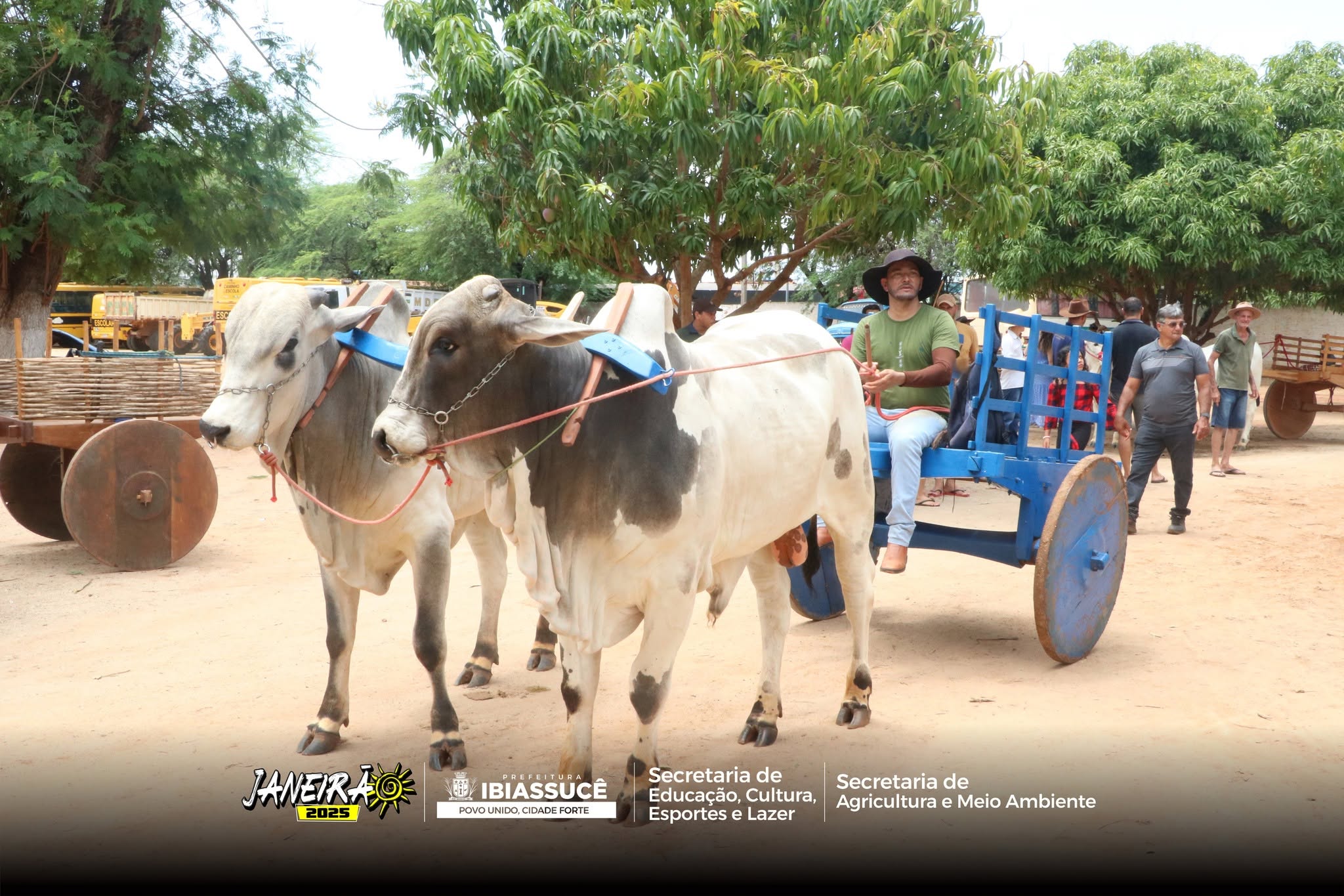 Tradicional desfile de carro de boi marca as festividades do Janeirão 2025